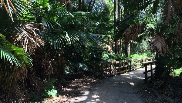 Narrabeen Lagoon Trail