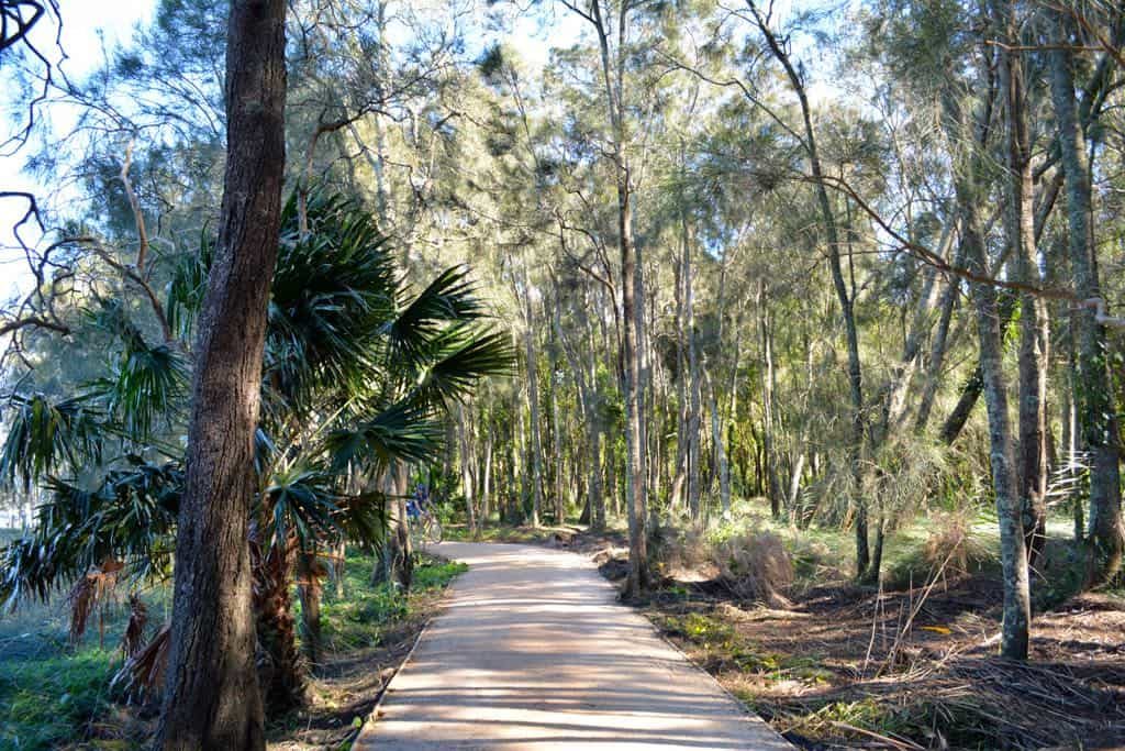 Narrabeen Lagoon Trail