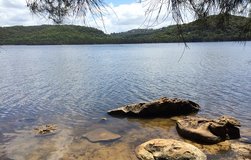 Narrabeen Lagoon Trail