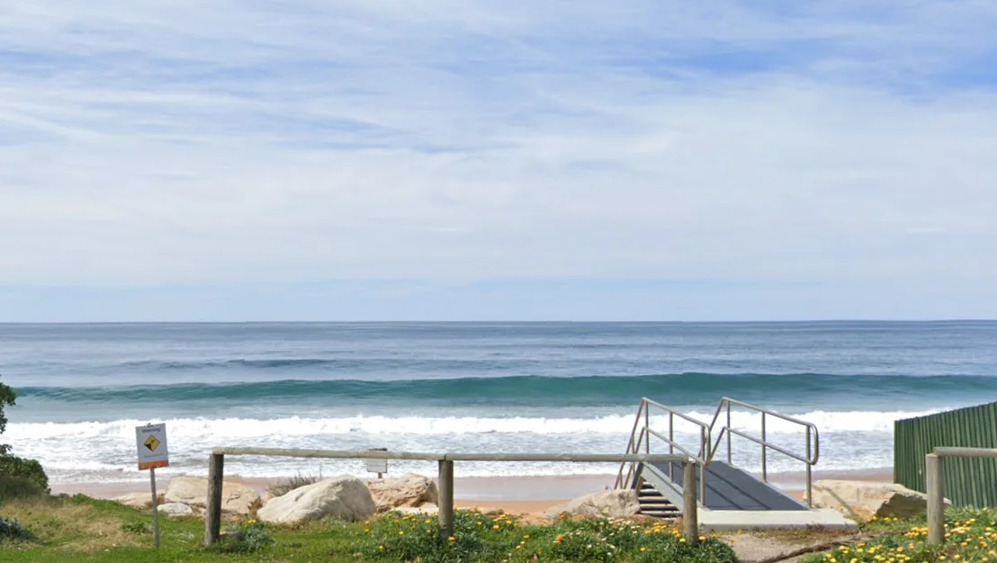 Northern Beaches wildlife